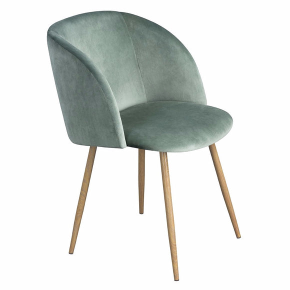 EGGREE Modern Velvet Accent Dining Armchair for Dining Room, Office and Bedroom - Cactus - 2-8days EU warehouse